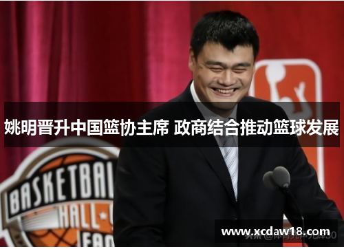 姚明晋升中国篮协主席 政商结合推动篮球发展